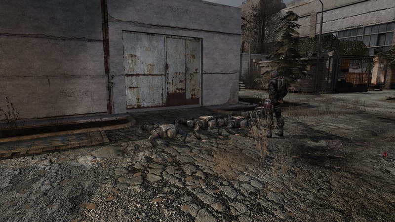 ss_cichy_11-25-17_20-53-56_(l05_bar).jpg