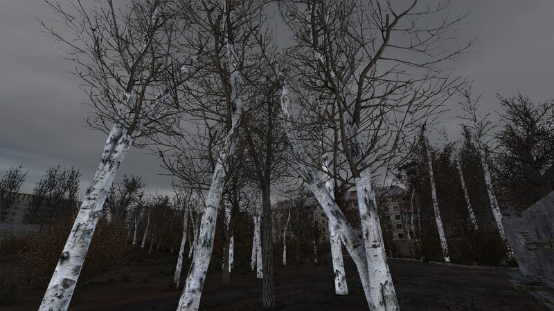 ss_fred_02-18-21_19-07-27_(l11_pripyat).jpg