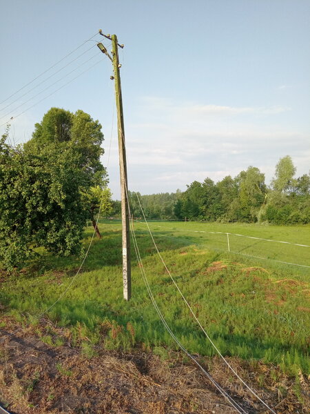 IMG_20210709_065021_870.jpg