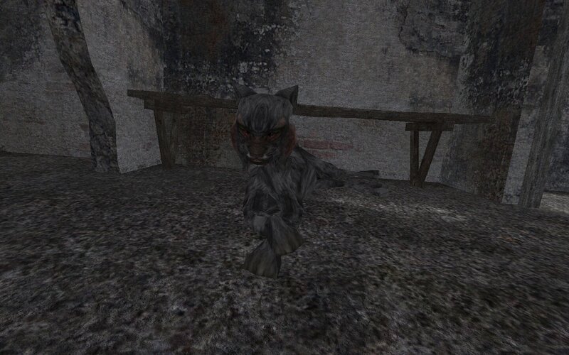 ss_kamil190_08-01-21_20-38-04_(l01_escape).jpg