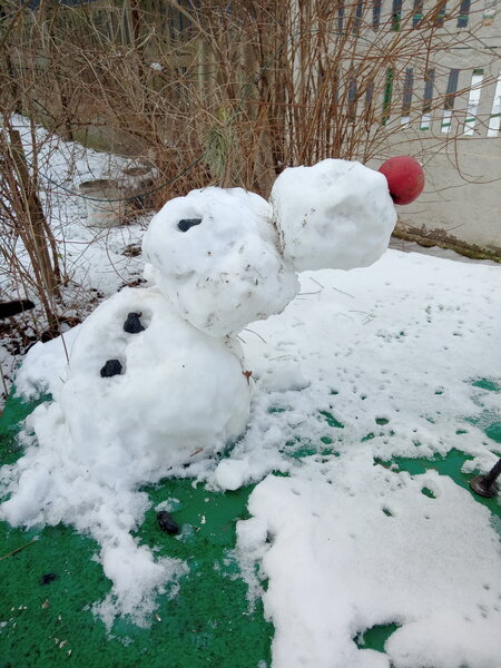 IMG_20211208_114720_030.jpg